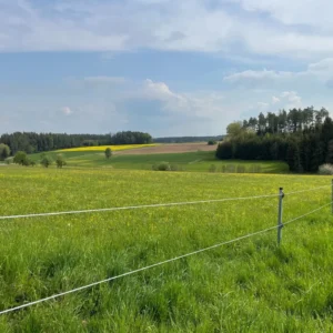 Naturcamping - Wiese